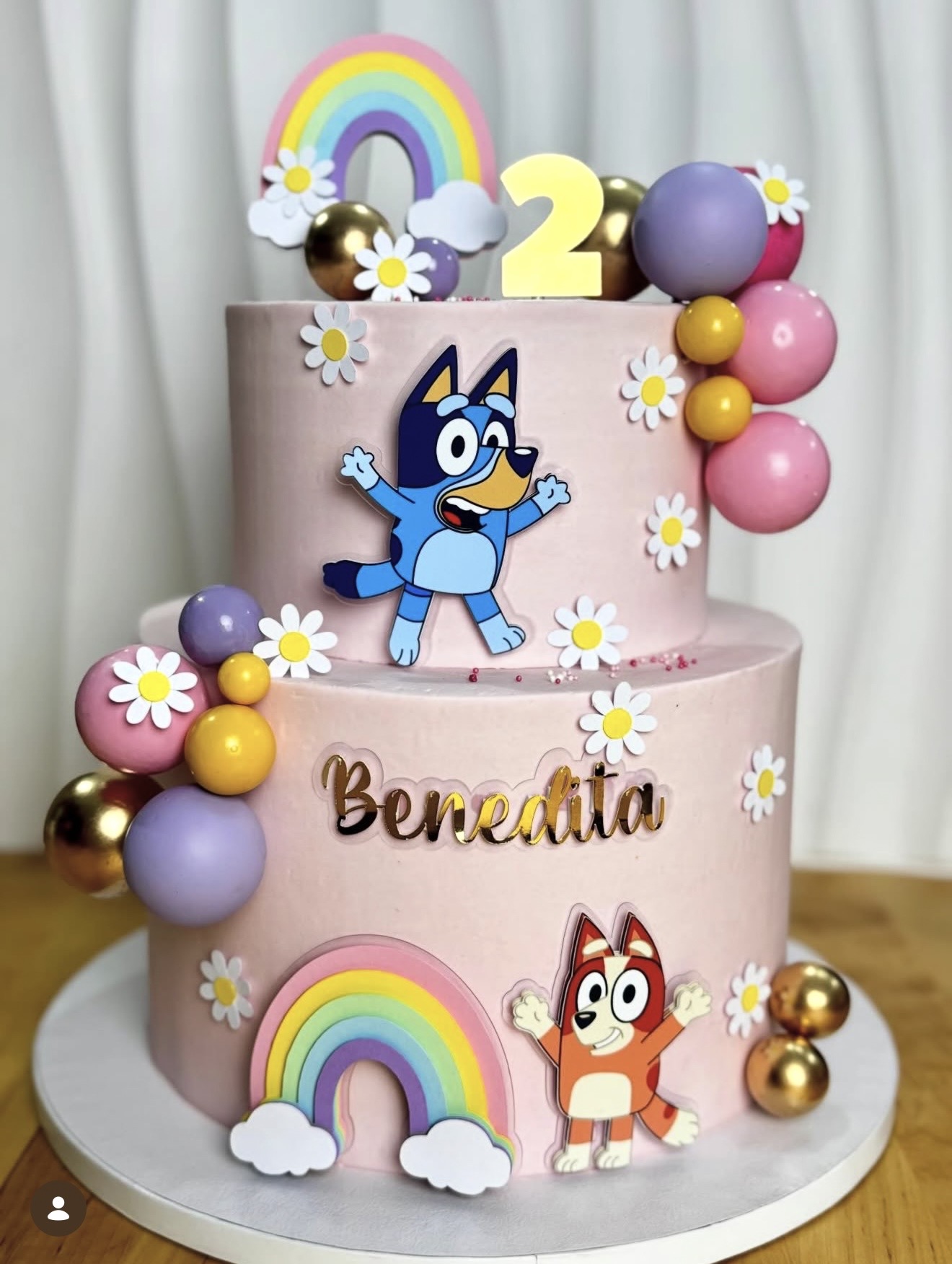 Bluey & Bingo — Dois andares rosa com Bluey e Bingo, arco-íris, margaridas e cascata de balões coloridos.